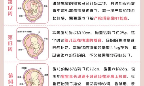 燃烧脂肪表现网 - 为你提供燃烧脂肪有什么感觉、燃烧脂肪有什么感觉