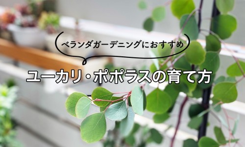 燃烧脂肪是减肥吗-燃烧脂肪表现网 - 为你提供燃烧脂肪有什么感觉、燃烧脂肪有什么感觉