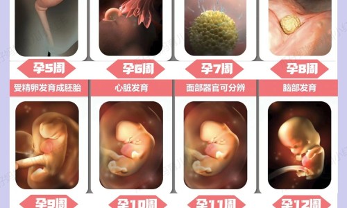 燃烧脂肪表现网 - 为你提供燃烧脂肪有什么感觉、燃烧脂肪有什么感觉